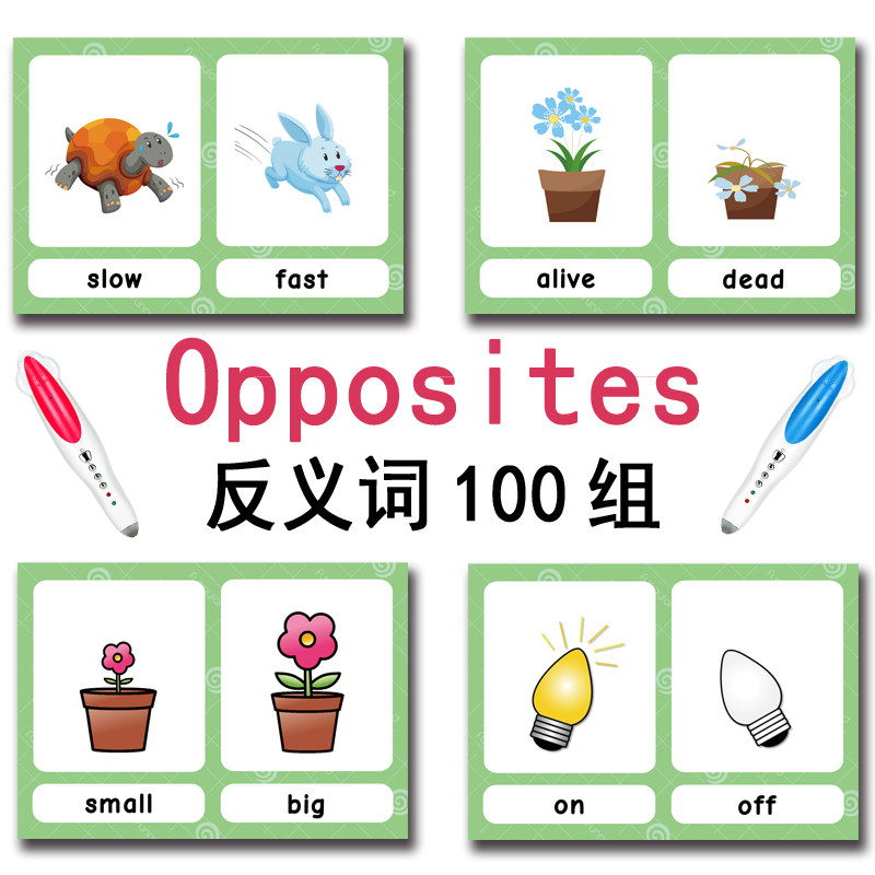 The 100 Groups Opposites Flash - огляд і ціна Kids Toys Latest