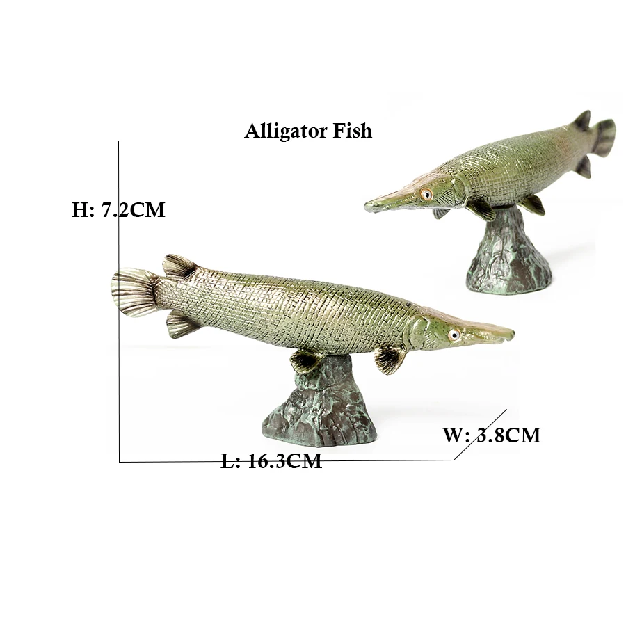 Arowana Pirarucu Coelacanth Bi - огляд і ціна Kids Toys Reviews