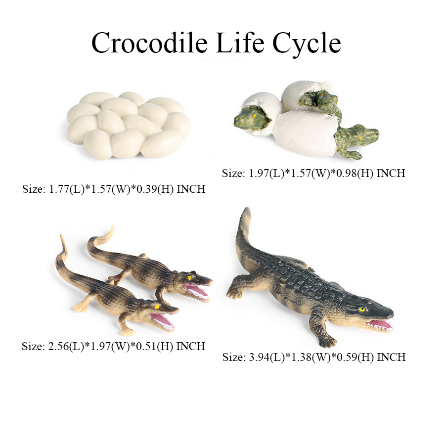 Toy of crocodile Figure Toys A - огляд і ціна Kids Toys Reviews