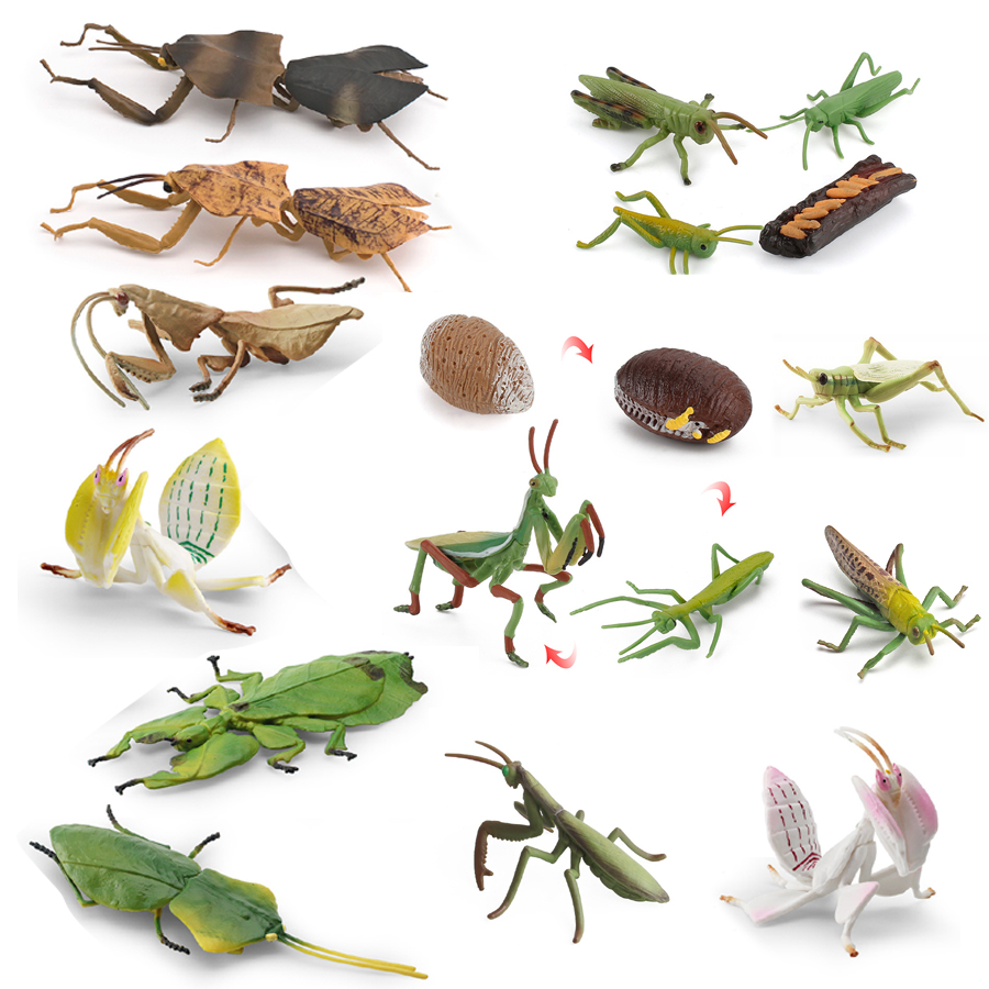 Realistic Orchid Mantis Dead L - огляд і ціна Kids Toys Home