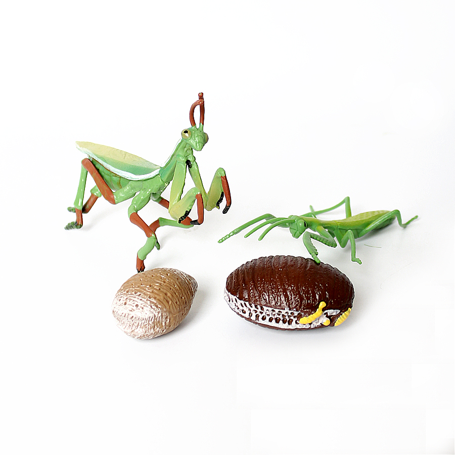 Realistic Orchid Mantis Dead L - огляд і ціна Kids Toys Home